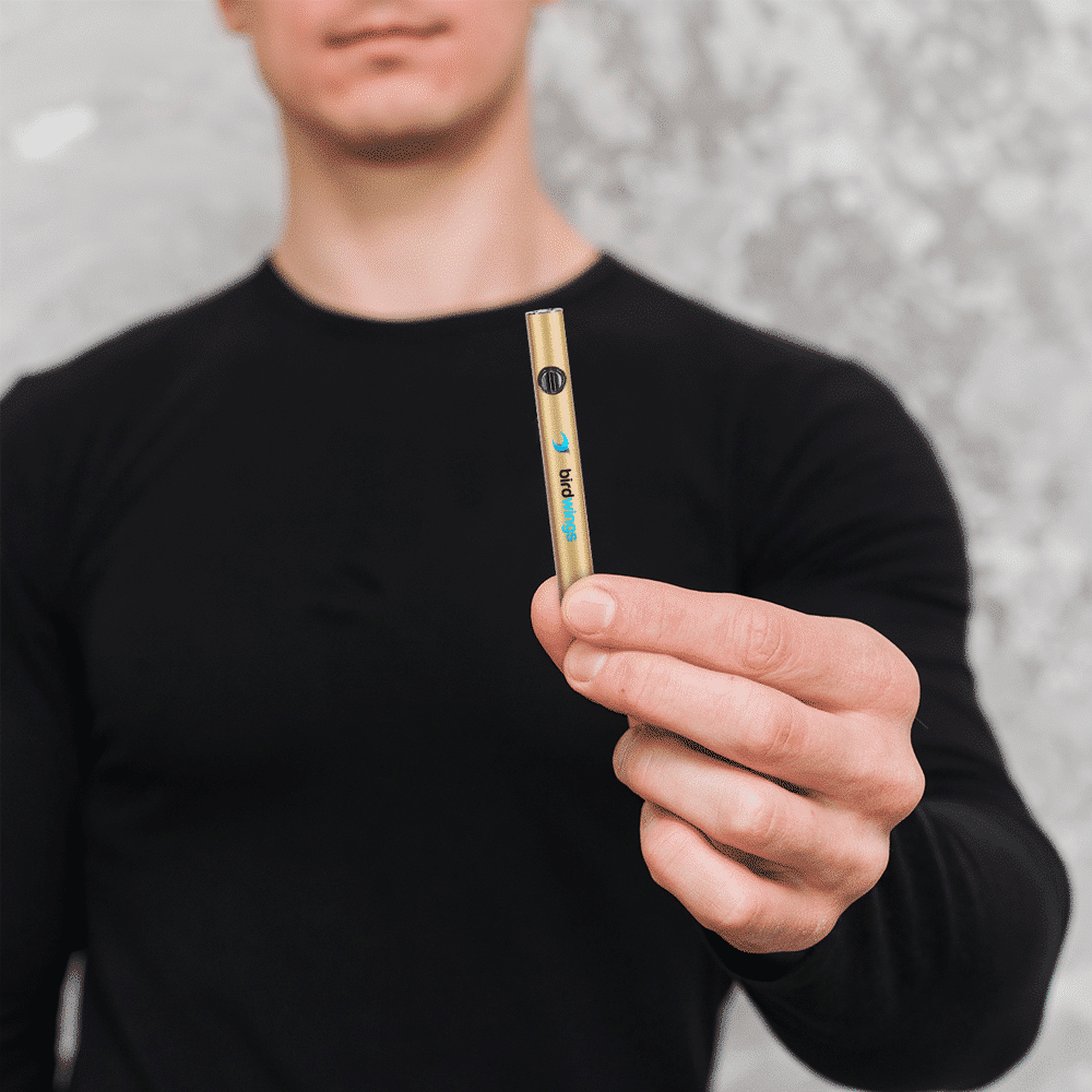A person holding the powerful nHale Custom 510 Thread Rechargeable Vape Battery.