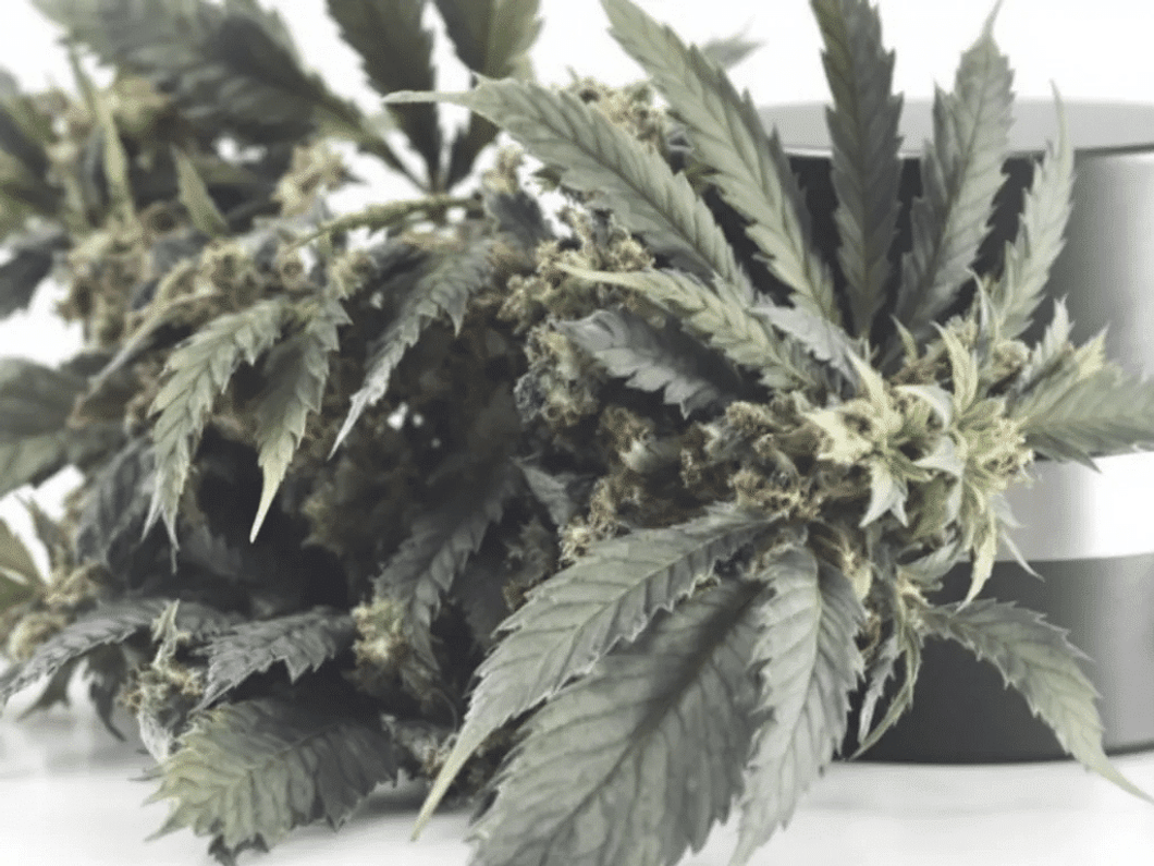The Ultimate Weed Storage Box for Discreet and Safe Keeping