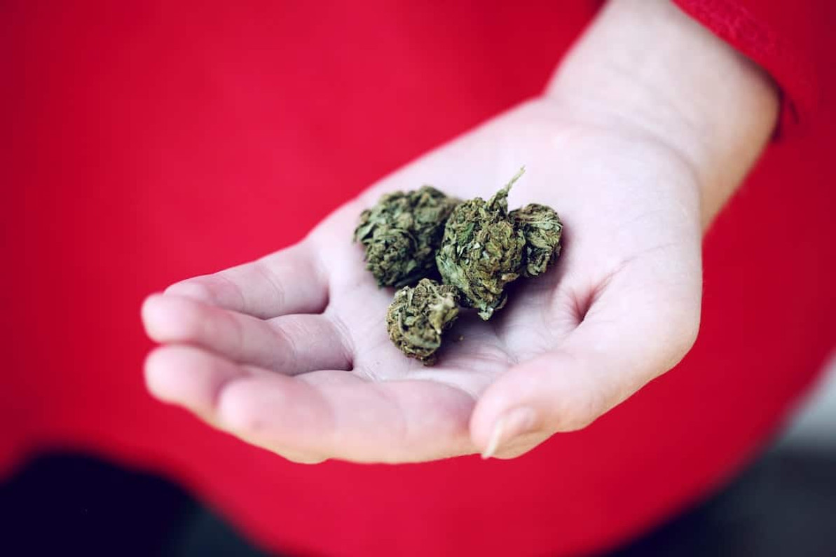 Verbessern Sie Ihr Rauchen: Die Auswahl der perfekten Rolling Papers