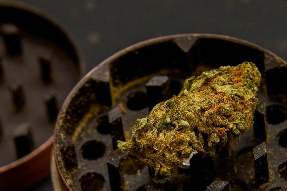 Best Kief Grinder: The Ultimate Guide to Choosing for Kief Collection – MunchMakers