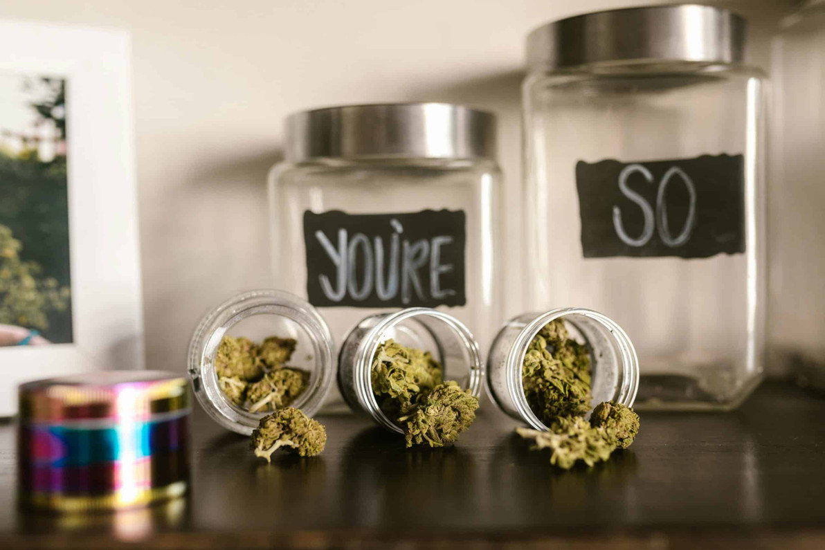 Top Electric Grinders for Weed: Elevate Your Cannabis Experience with Ease!