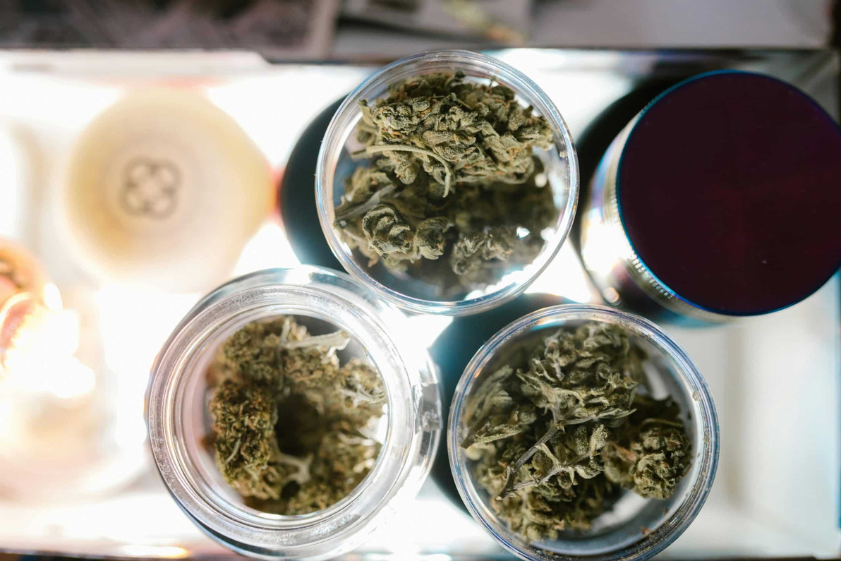 Your Ultimate Guide to Coarse Weed Grinders &#038; the Boomers Experience
