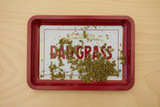 Roll in Style: The Ultimate Guide to Choosing the Best Rolling Tray