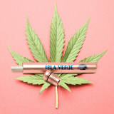 Why Every Cannabis Enthusiast Needs a J-Shield Protector