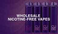 Wholesale Nicotine Free Vapes