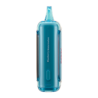 Blueberry Watermelon RAZ DC25000 Vape A1 For Wholesale