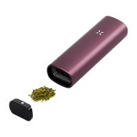 PAX Plus Vaporizer Elderberry Kit