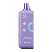 Black Mint Ice Off Stamp Ice Cube Vape