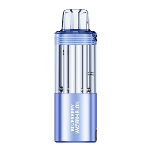 Blueberry Watermelon FOGER Switch Pro Disposable-Flavor for Wholesale