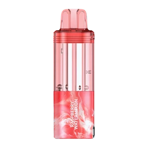 Raspberry Watermelon Foger Switch Pro Disposable for wholesale