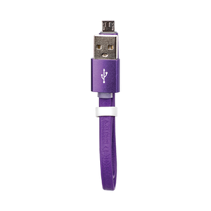 Micro USB Charger