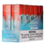Watermelon Ice Evodrip Vape 10pk Wholesale