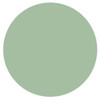 NSI Technailcolor Colored Acrylic - Sea Foam Green Powder