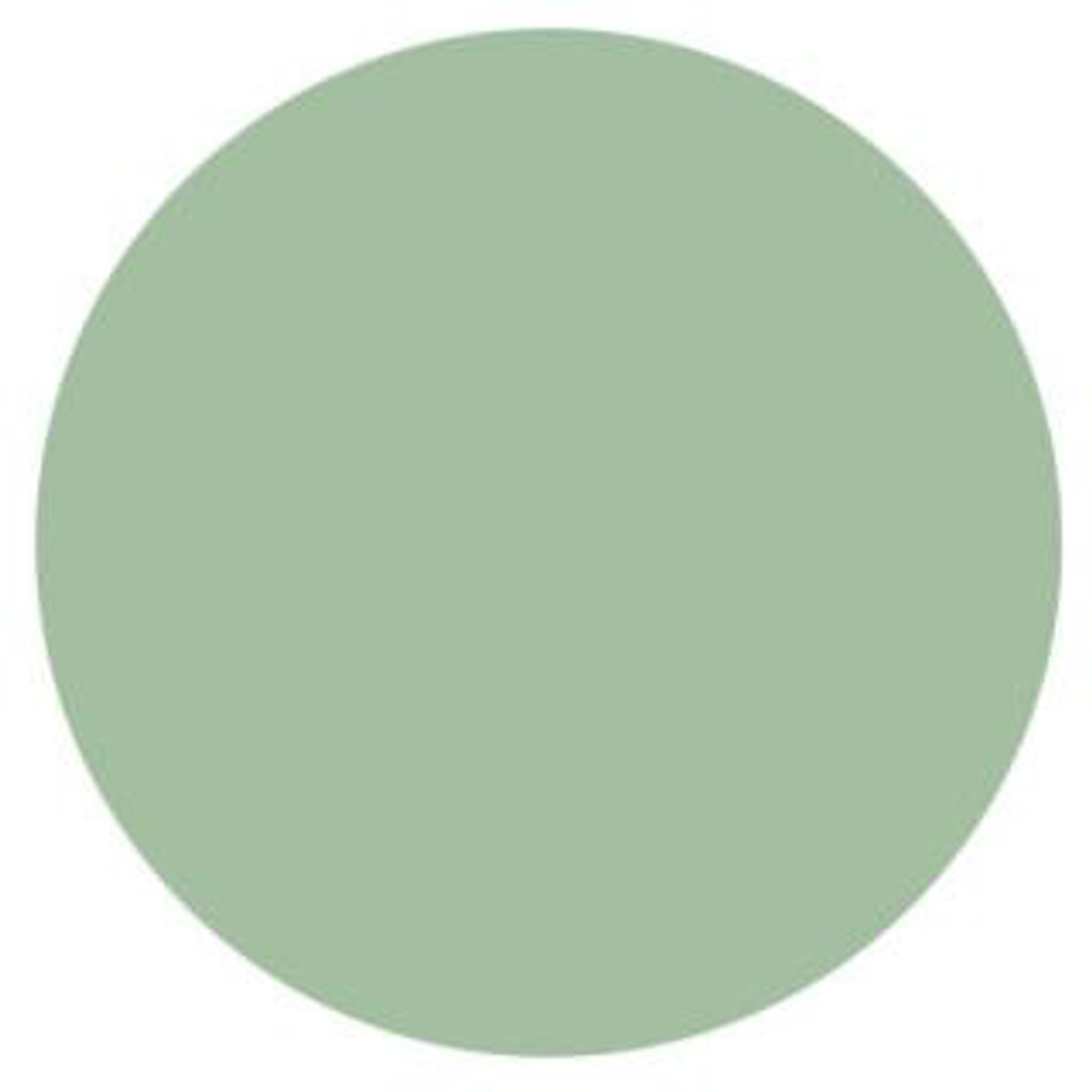 NSI Technailcolor Colored Acrylic - Sea Foam Green Powder