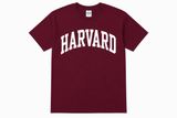 Harvard Gildan T-shirt available in maroon and sport grey featuring classic arched Harvard collegiate lettering on the front, adult sizes Small through 2X.
