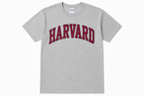 Harvard Gildan T-shirt available in maroon and sport grey featuring classic arched Harvard collegiate lettering on the front, adult sizes Small through 2X.