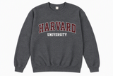 Show your Harvad pride with this classic dark heather crewneck sweatshirt. Featuring bold HARVARD lettering across the ches