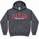 Harvard University Gildan dark heather grey pullover hoodie with maroon Harvard lettering and white University text.