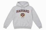 HAR CREST HOOD SP GREY