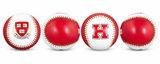 HARVARD BASEBALL
