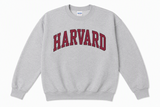 Harvard Gildan crewneck sweatshirt available in maroon and sport grey featuring classic arched Harvard collegiate lettering across the chest, adult sizes Small through 2X.