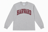 Harvard long sleeve T-shirt available in maroon and sport grey featuring classic arched Harvard collegiate lettering on the front.
