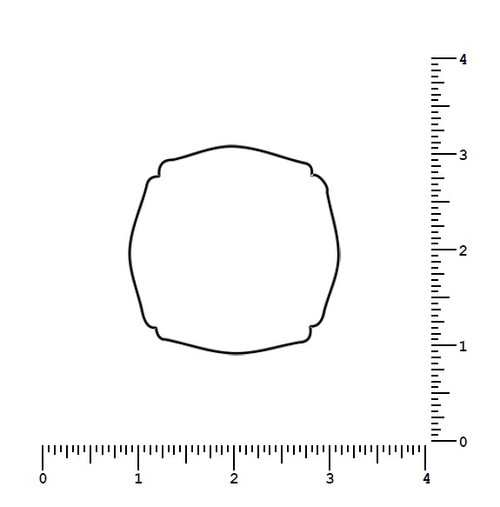 DSNY Sanitation Worker Badge Cutout