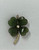 Jade Frankling Mint Four Leaf Clover Pendant