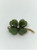 Jade Frankling Mint Four Leaf Clover Pendant