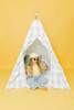 This tent is made of a light sea foam green buffalo check (also known as gingham) and it is made of 100% cotton twill fabric.