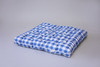 A blue gingham/buffalo check playmat.