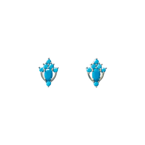 Turquoise Jewel Stud Earrings