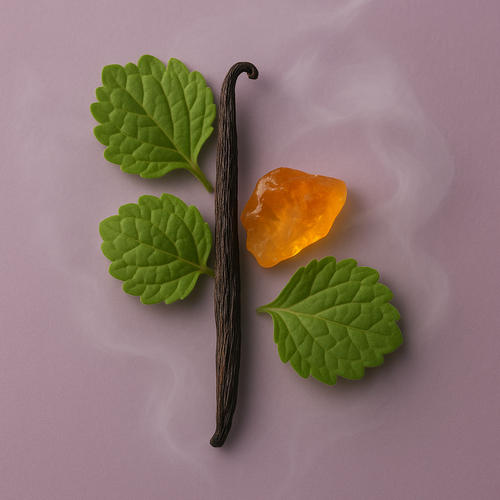 COLORFUL SMOKE FR
