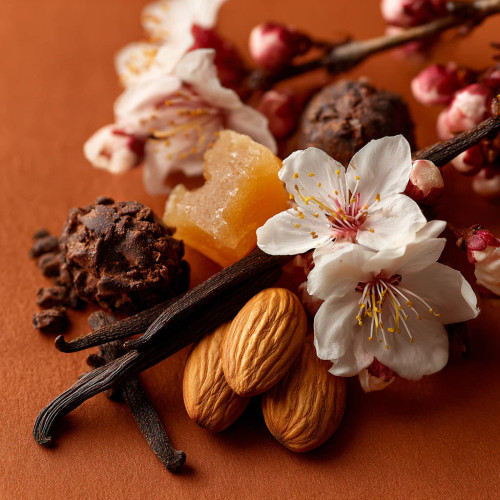 Vanilla Pleasure Bn