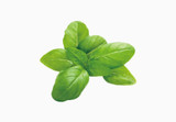Viva Pure Basil