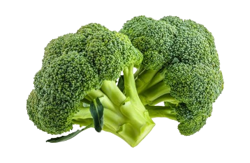 Yellow Pumpkin (Demo)