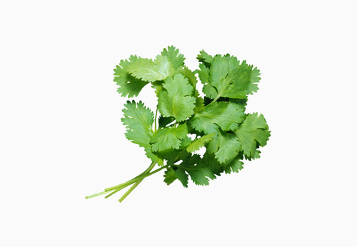 Viva Fresh Parsley