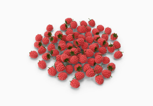 Viva Fresh Raspberry