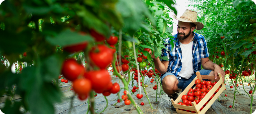 farm-table-img.png