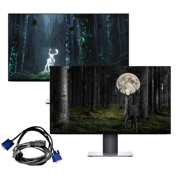 DUAL 22" BEZEL LESS MONITOR SCREEN