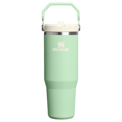 Stanley The ICEFLOW Flip Straw Tumbler 30oz - Pistachio