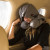 Grand Trunk Hooded Travel Neck Pillow - Slate Gray