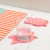 Pink Tiger Coasters (4 Pack)