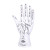 Helio Ferretti Palm Reader Jewelry Stand