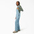 Dickies Women's Relaxed Bib Overall - Fisher Stripe