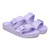 Birkenstock Arizona Stealth Buckle EVA Sandal - Purple Fog