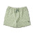 Roark Shorey Boardshorts - Sage