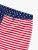 Chubbies The 'Mericas Shorts - Red / White / Blue