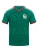 Mexico World Cup 2026 Soccer Jersey – Green