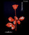 Officially Licensed Depeche Mode Sympathy Tee - Black